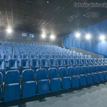 Кинотеатр «Есенино»(Image)