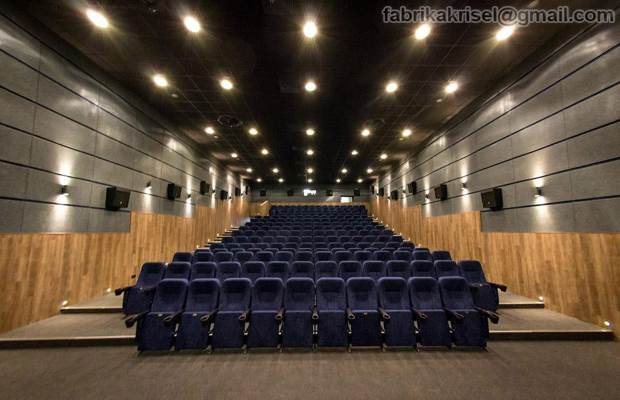 Cinema “ZHOVTEN”, Hall “Kinoman”(Image)